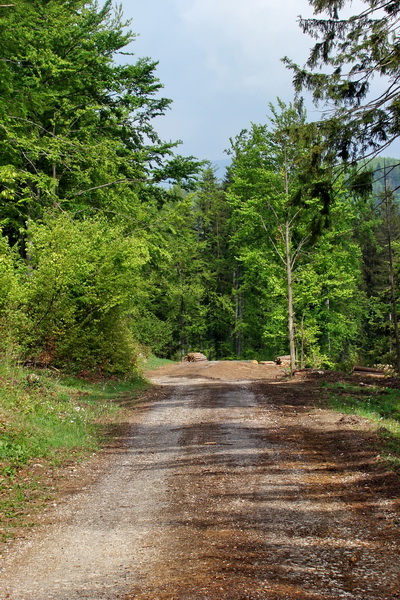 Prechod Muránskou planinou (Muránska planina)