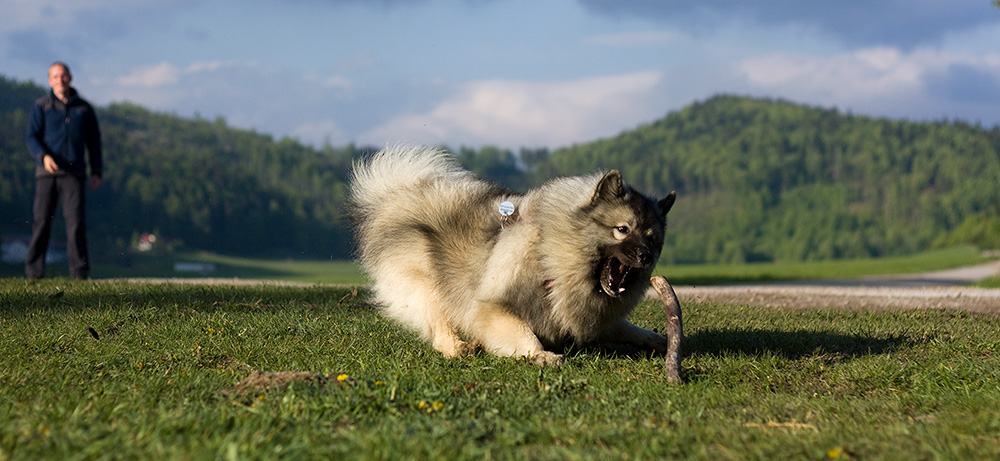 Prechod Muránskou planinou (Muránska planina)