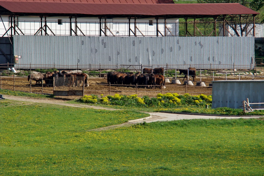 Prechod Muránskou planinou (Muránska planina)