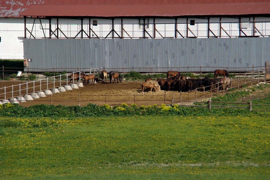 Prechod Muránskou planinou (Muránska planina)