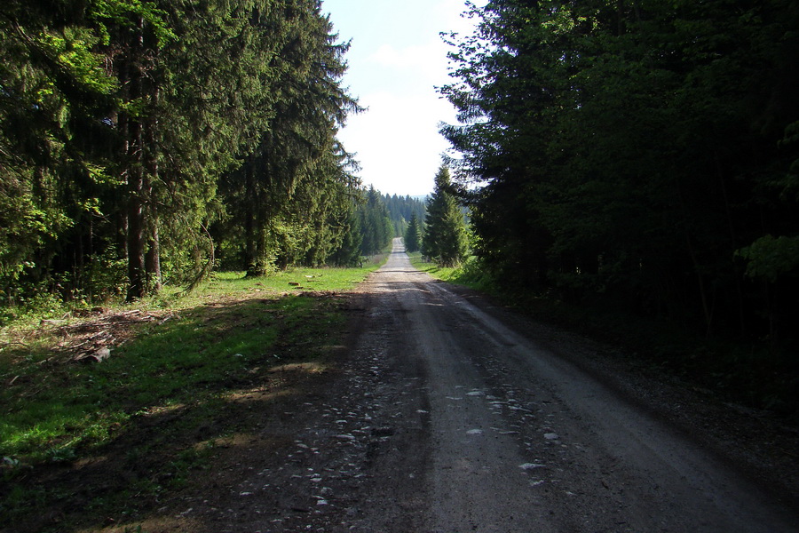 Prechod Muránskou planinou (Muránska planina)