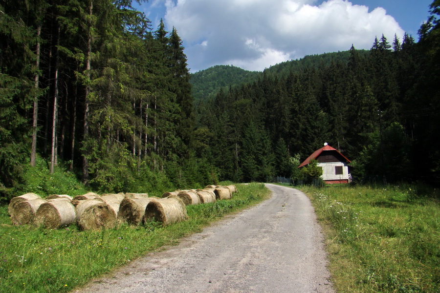 Rakytov (Veľká Fatra)