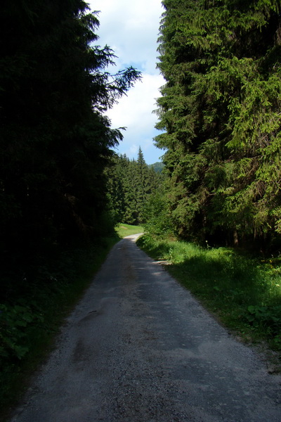 Rakytov (Veľká Fatra)