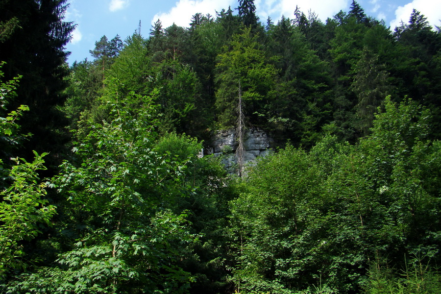 Rakytov (Veľká Fatra)