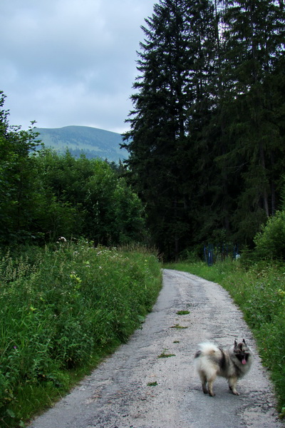 Rakytov (Veľká Fatra)