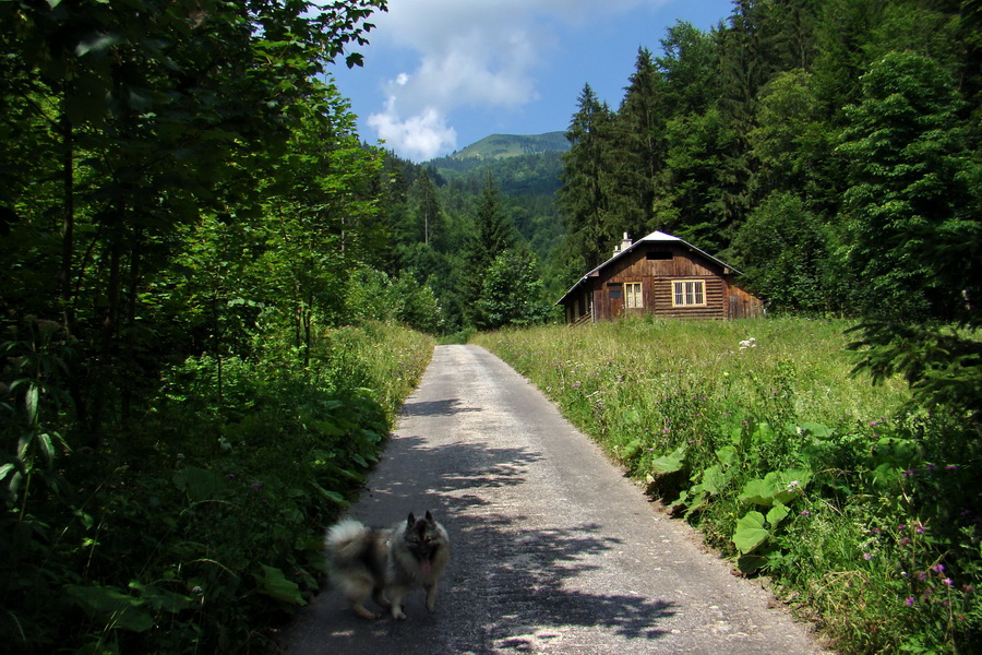 Rakytov (Veľká Fatra)