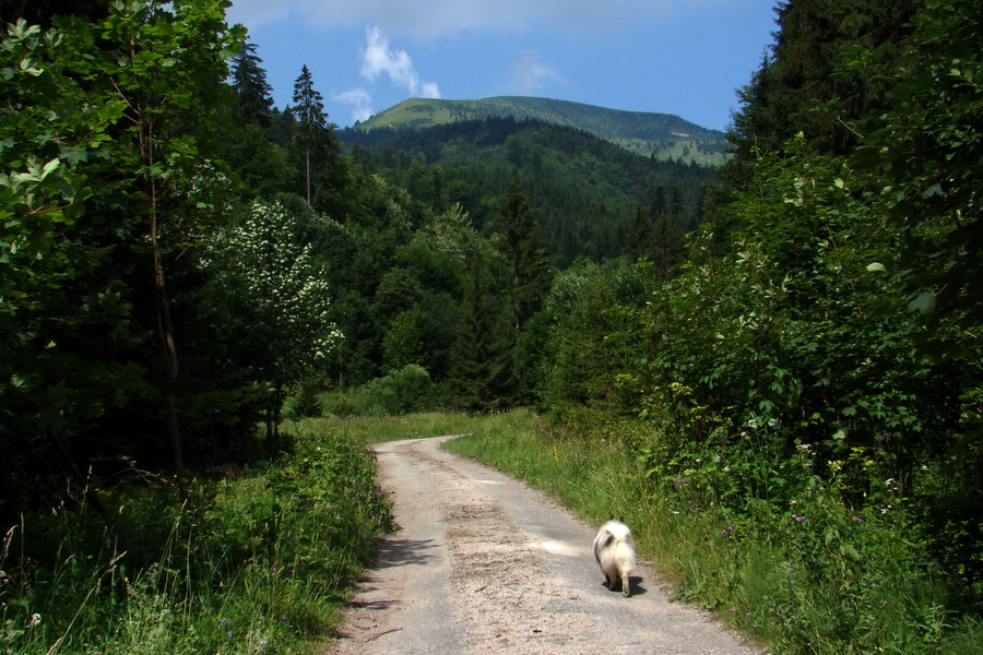 Rakytov (Veľká Fatra)