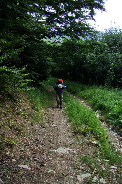 Rakytov (Veľká Fatra)