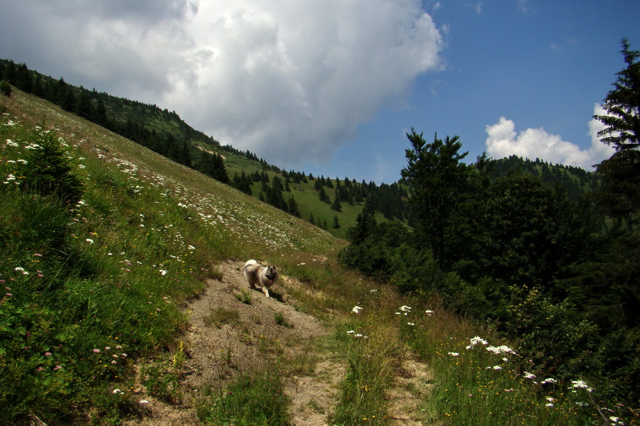 Rakytov (Veľká Fatra)