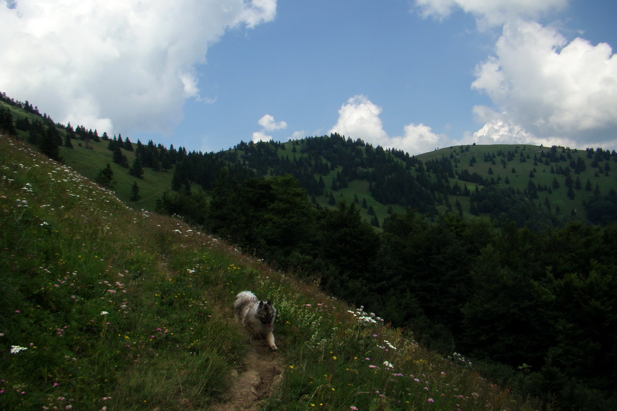 Rakytov (Veľká Fatra)