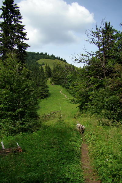 Rakytov (Veľká Fatra)