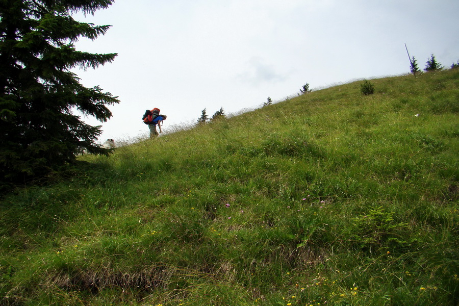 Rakytov (Veľká Fatra)