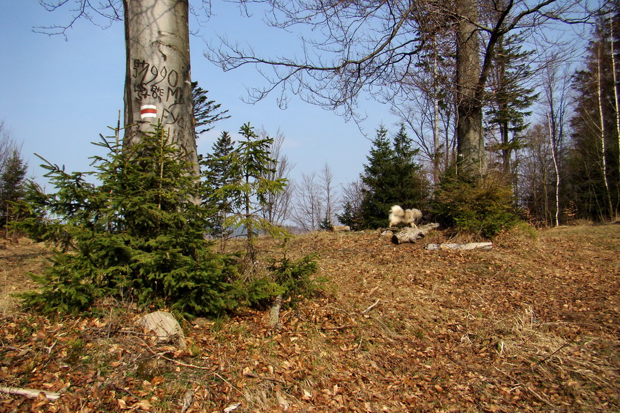 Rudohorská 1/2 100-vka individuálne (Volovské vrchy)