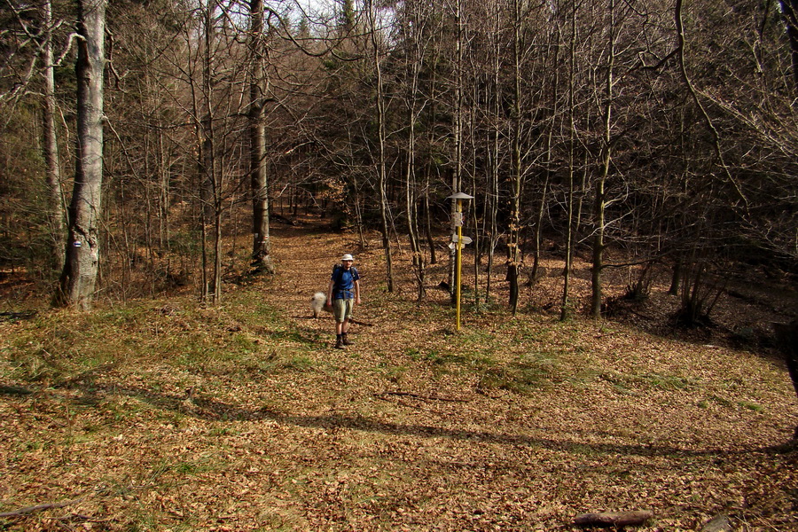 Rudohorská 1/2 100-vka individuálne (Volovské vrchy)