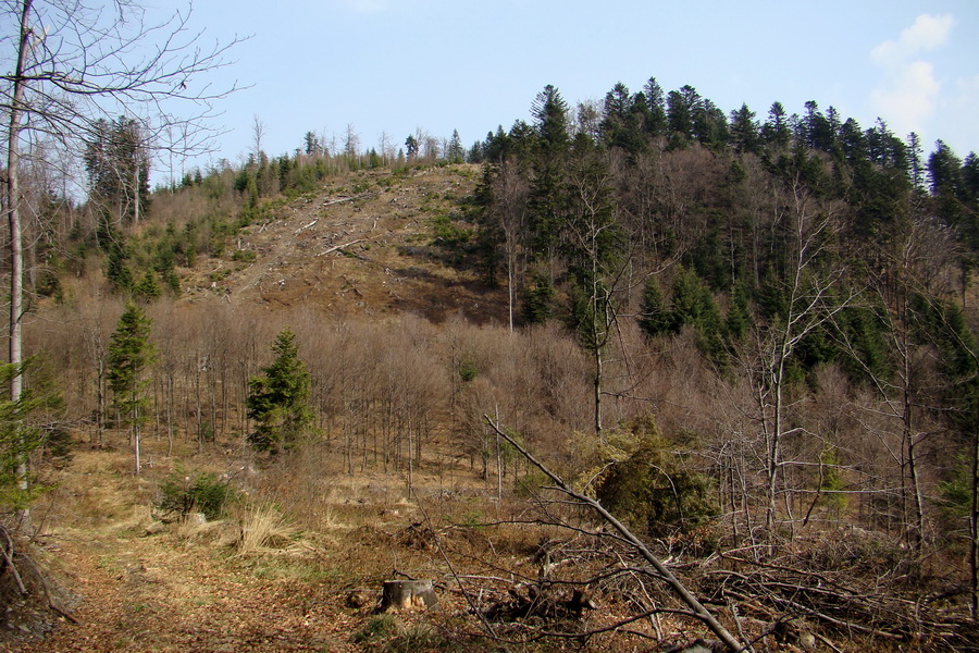 Rudohorská 1/2 100-vka individuálne (Volovské vrchy)