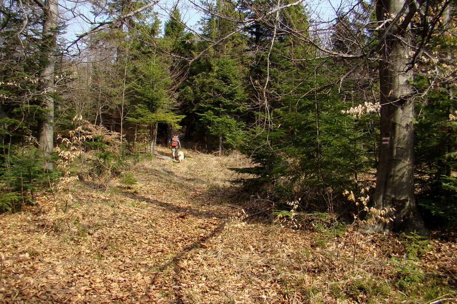 Rudohorská 1/2 100-vka individuálne (Volovské vrchy)