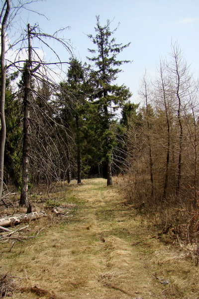 Rudohorská 1/2 100-vka individuálne (Volovské vrchy)