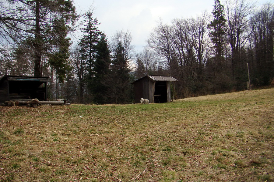 Rudohorská 1/2 100-vka individuálne (Volovské vrchy)