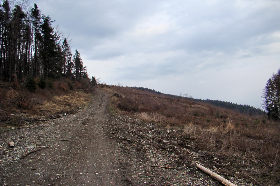 Rudohorská 1/2 100-vka individuálne (Volovské vrchy)