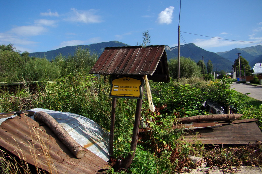 Salatín z Jalovca (Západné Tatry)