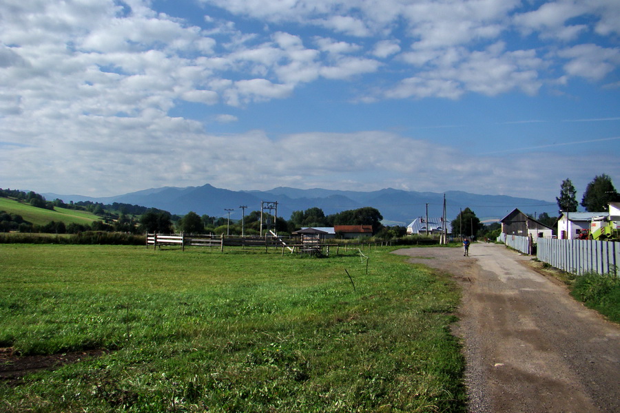 Salatín z Jalovca (Západné Tatry)