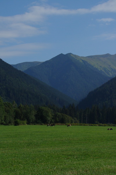 Salatín z Jalovca (Západné Tatry)