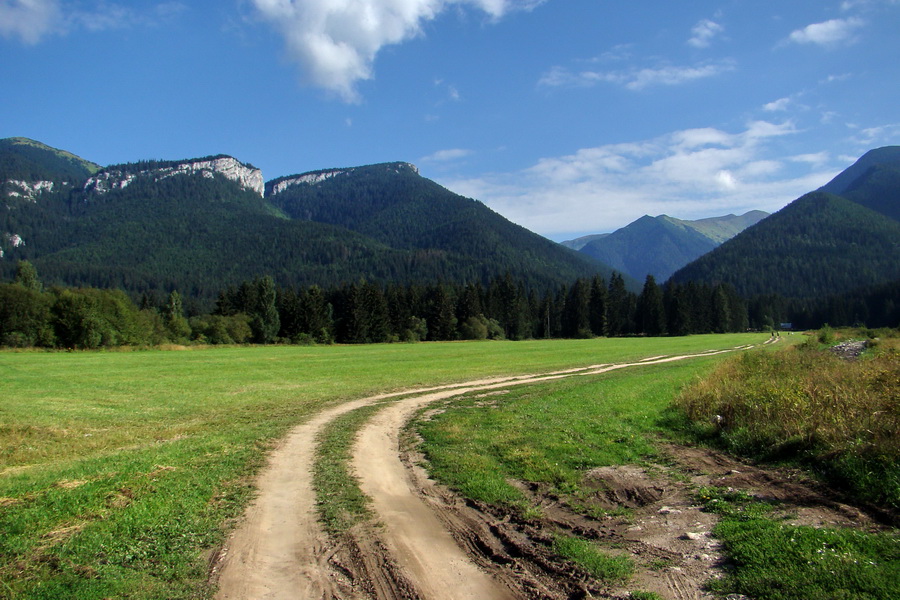 Salatín z Jalovca (Západné Tatry)