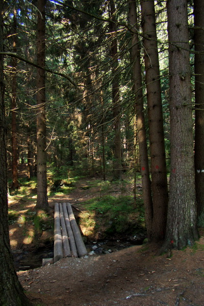 Salatín z Jalovca (Západné Tatry)