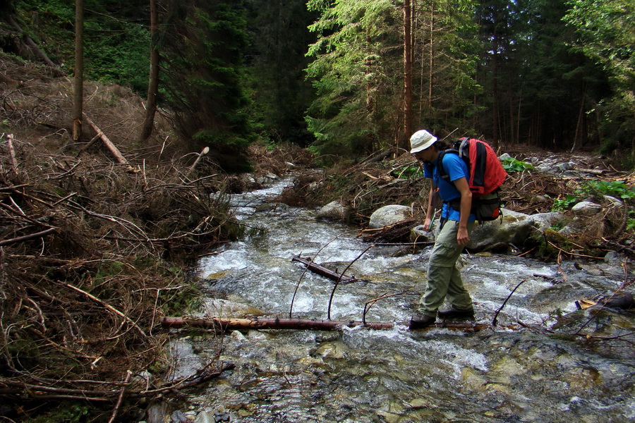 Salatín z Jalovca (Západné Tatry)