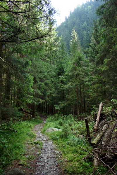 Salatín z Jalovca (Západné Tatry)