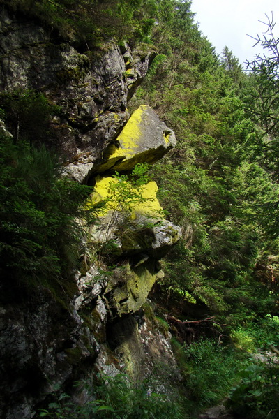 Salatín z Jalovca (Západné Tatry)