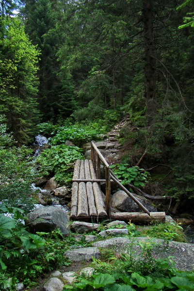 Salatín z Jalovca (Západné Tatry)