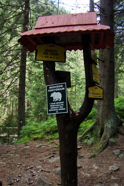 Salatín z Jalovca (Západné Tatry)