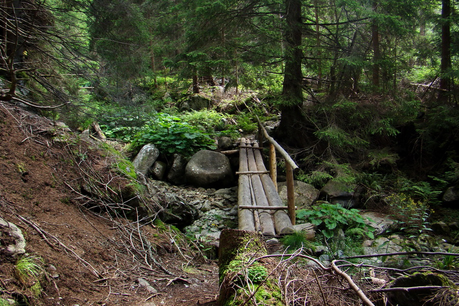 Salatín z Jalovca (Západné Tatry)