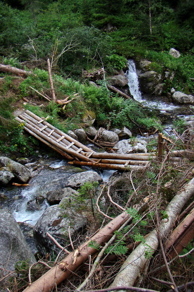 Salatín z Jalovca (Západné Tatry)