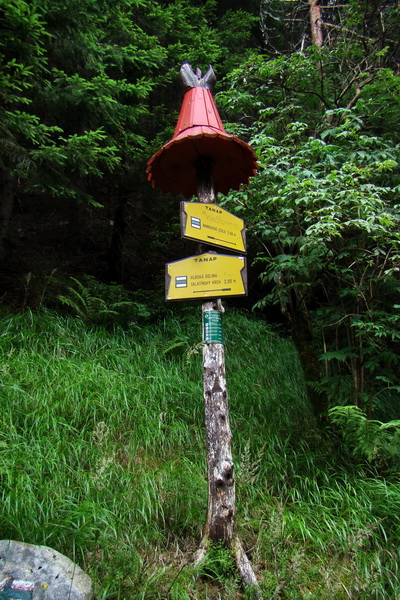 Salatín z Jalovca (Západné Tatry)