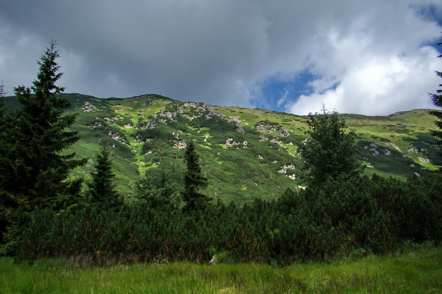 Salatín z Jalovca (Západné Tatry)