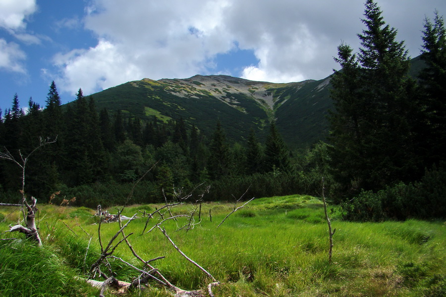 Salatín z Jalovca (Západné Tatry)