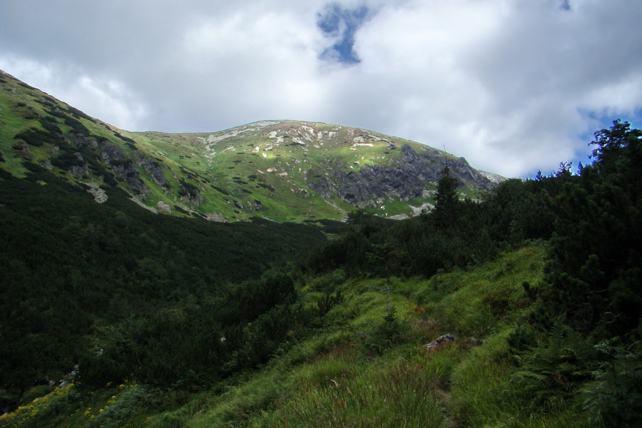 Salatín z Jalovca (Západné Tatry)