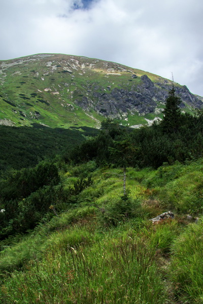 Salatín z Jalovca (Západné Tatry)