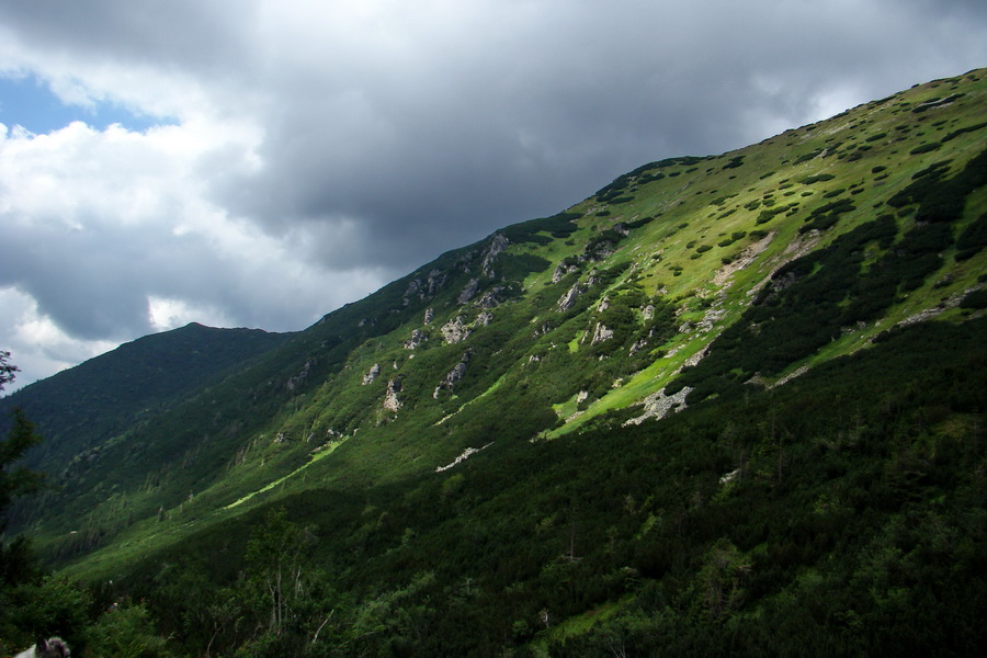 Salatín z Jalovca (Západné Tatry)