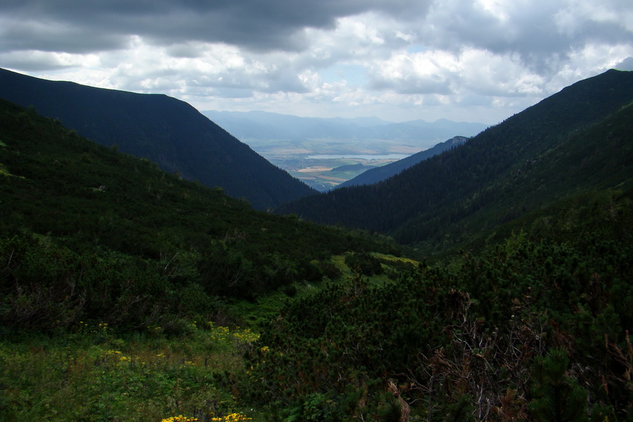 Salatín z Jalovca (Západné Tatry)