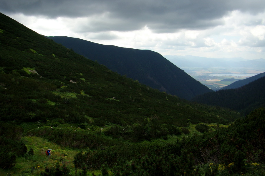 Salatín z Jalovca (Západné Tatry)