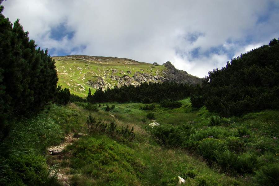 Salatín z Jalovca (Západné Tatry)