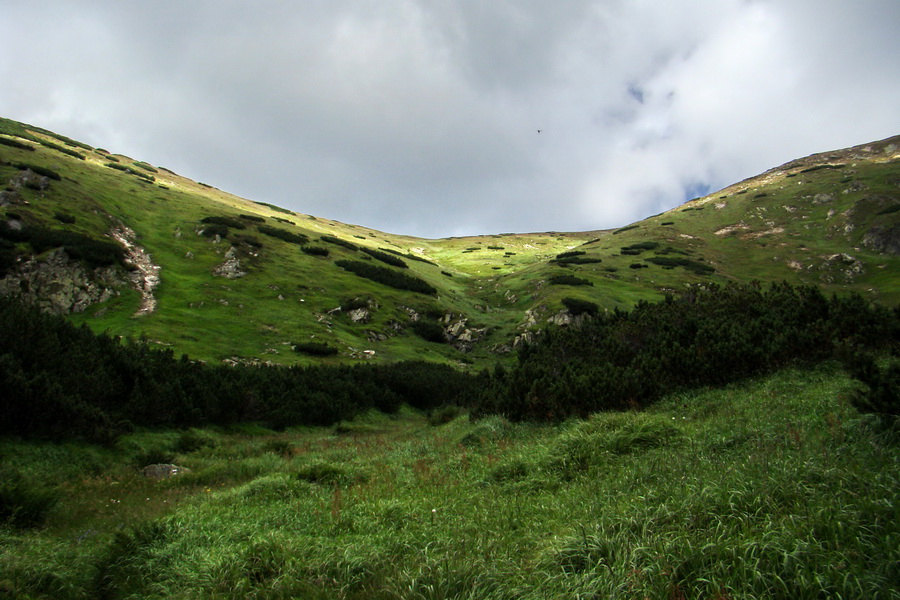 Salatín z Jalovca (Západné Tatry)