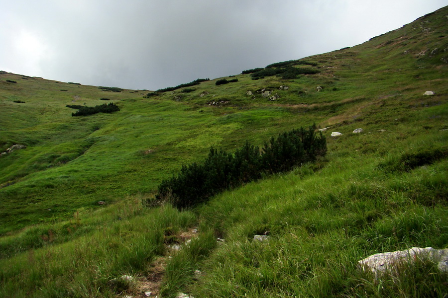 Salatín z Jalovca (Západné Tatry)