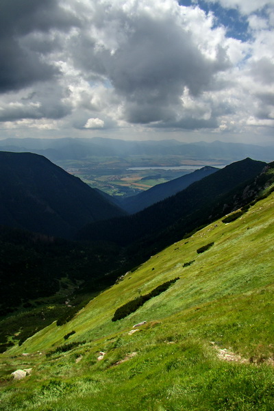 Salatín z Jalovca (Západné Tatry)