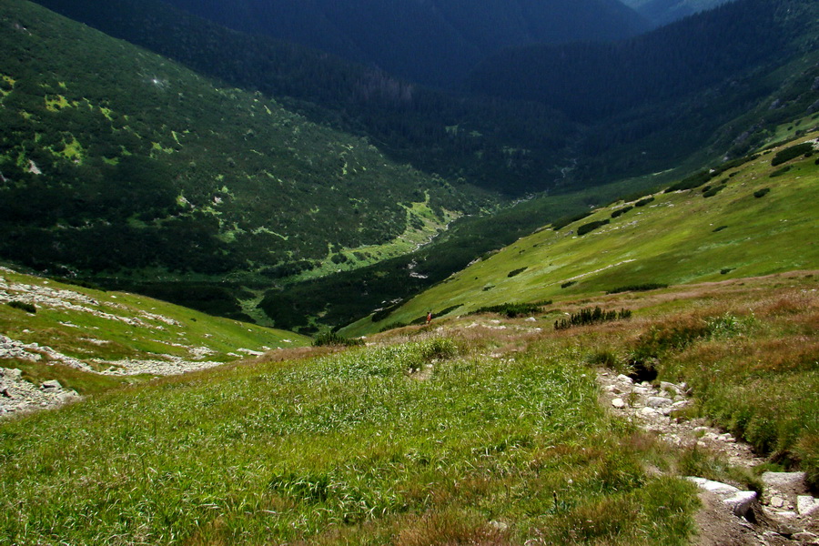 Salatín z Jalovca (Západné Tatry)