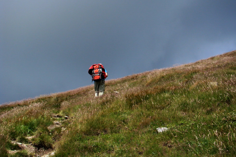 Salatín z Jalovca (Západné Tatry)