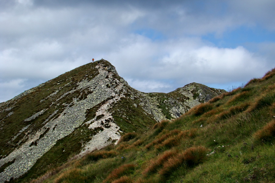 Salatín z Jalovca (Západné Tatry)